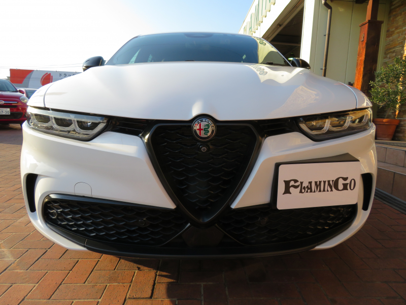 アルファロメオ&nbsp;その他&nbsp;トナーレ　ヴェローチェ